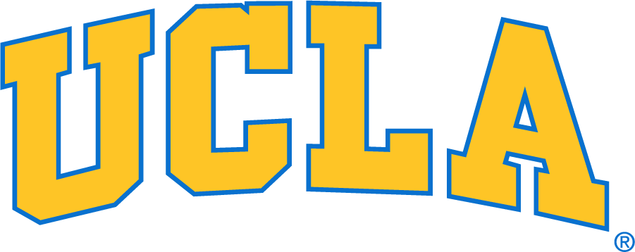 UCLA Bruins 1996-2017 Wordmark Logo t shirts iron on transfers